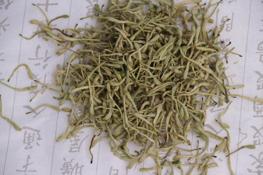 金银花茶饮 代用茶中的清凉之选